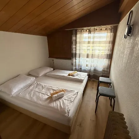 Marina Alpen Haus Penzion Zell am See